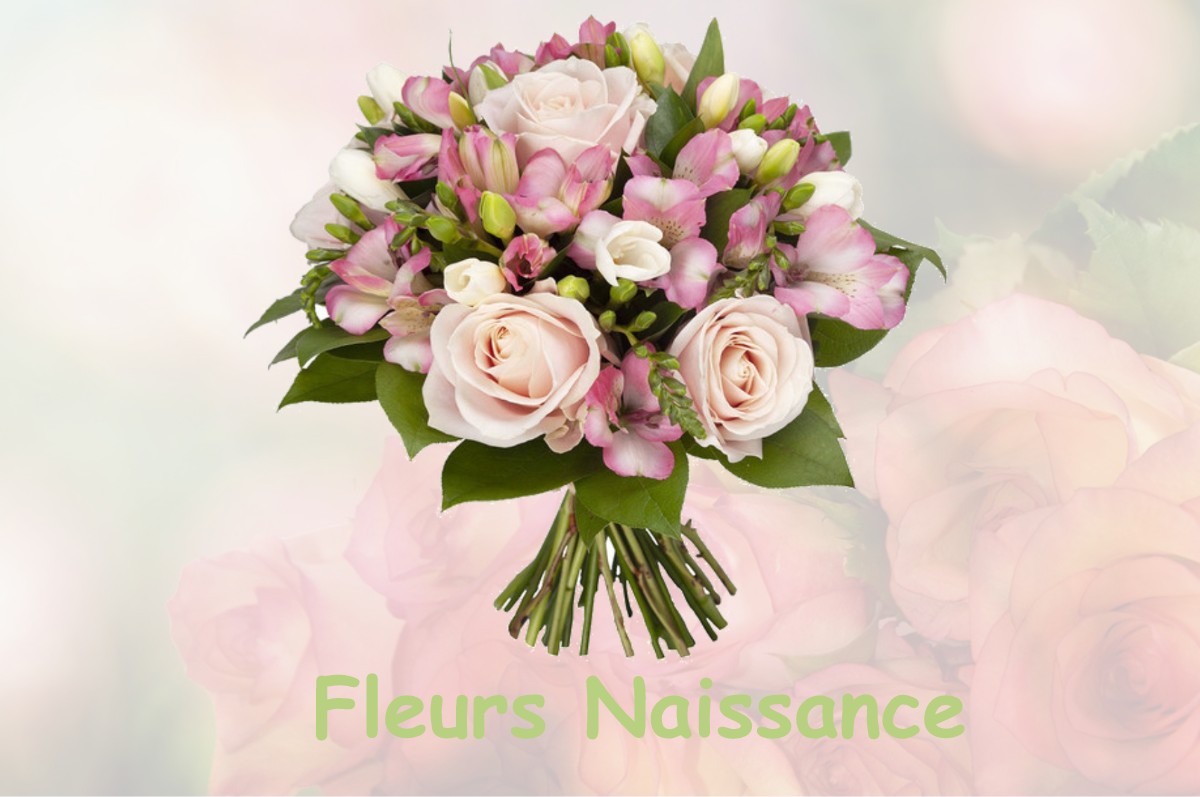 fleurs naissance PLESSIS-DE-ROYE