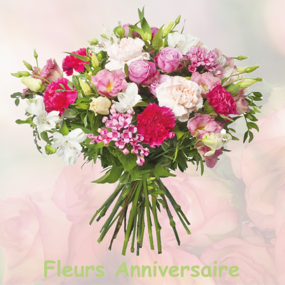 fleurs anniversaire PLESSIS-DE-ROYE